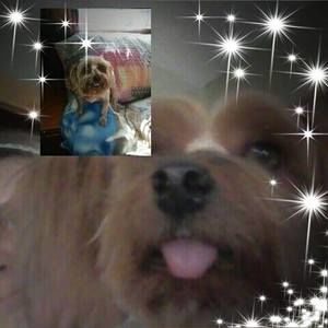 Meet your Posher, Jamie